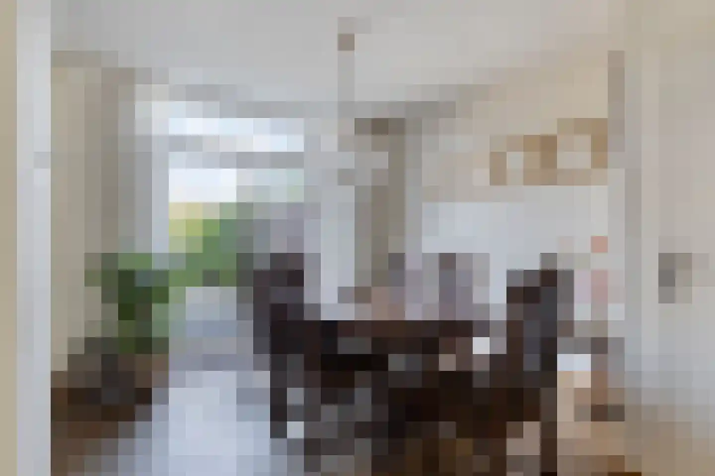 Vincent van Goghstraat 8 Veghel thumbnail 7
