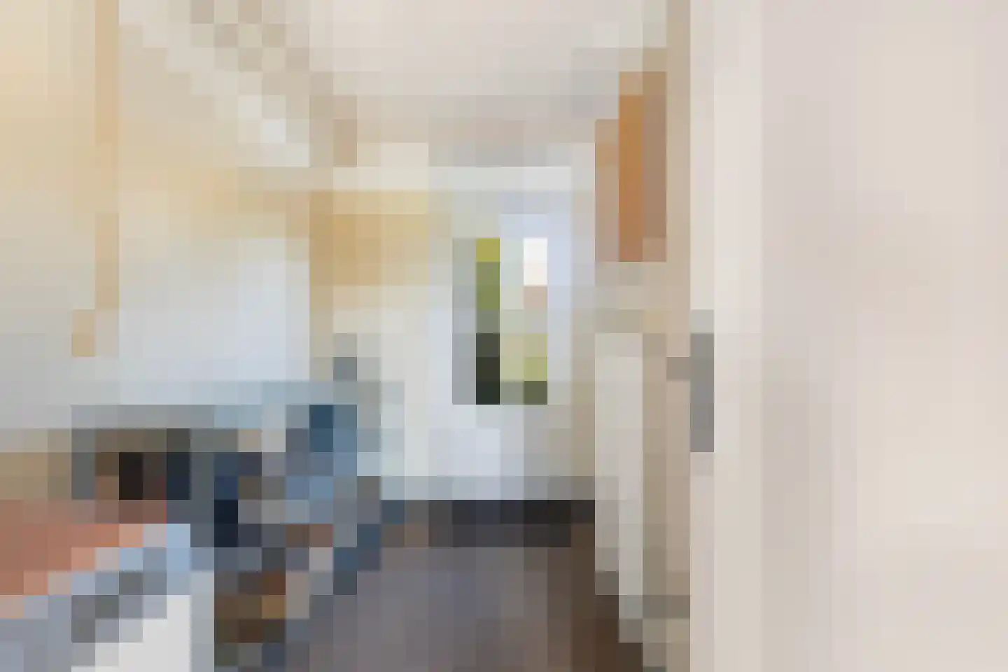 Vincent van Goghstraat 88 Leeuwarden thumbnail 23