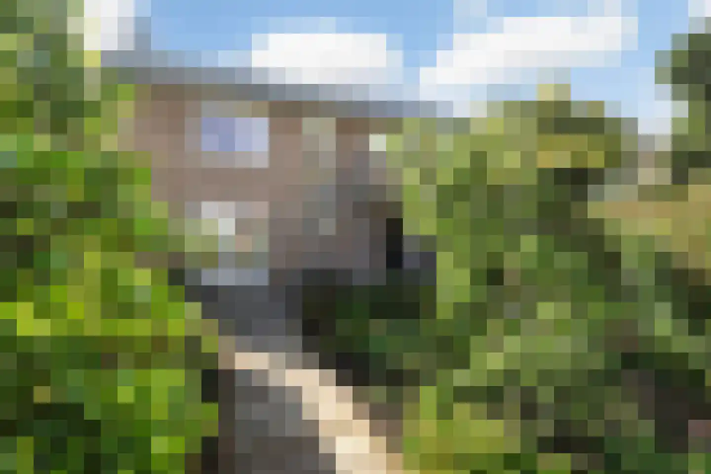 Vincent van Goghstraat 88 Leeuwarden thumbnail 24
