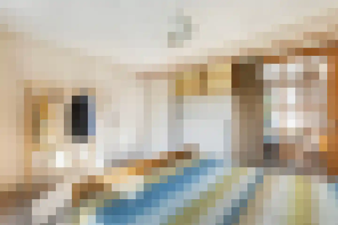Vincent van Goghstraat 88 Leeuwarden thumbnail 39