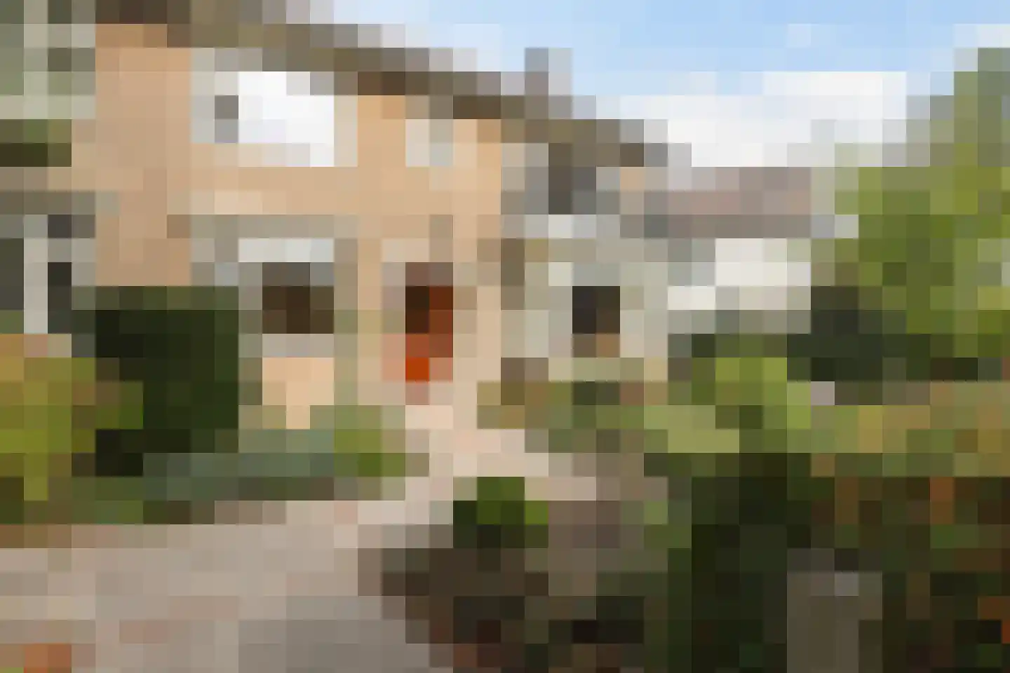 Vincent van Goghstraat 88 Leeuwarden thumbnail 8