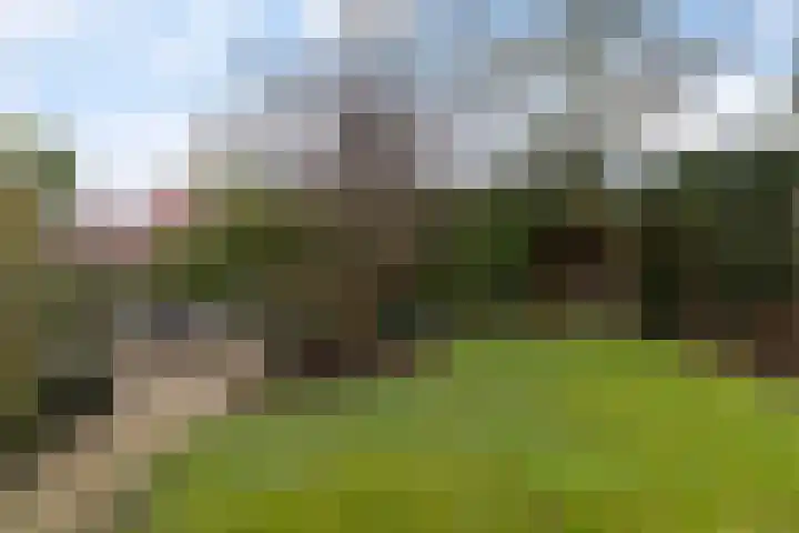 Vincent van Goghstraat 92 Leeuwarden thumbnail 27