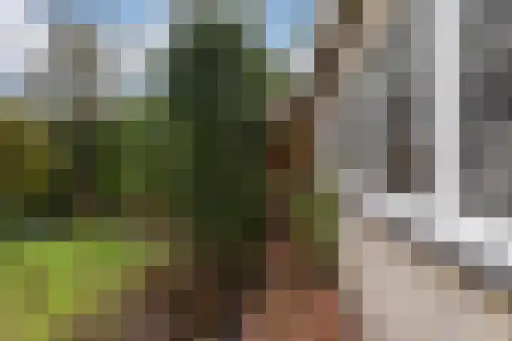 Vincent van Goghstraat 92 Leeuwarden thumbnail 30