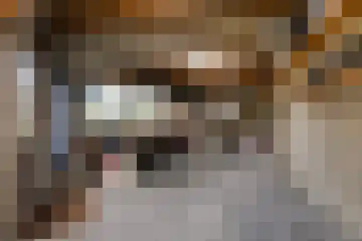 Vincent van Goghstraat 92 Leeuwarden thumbnail 31