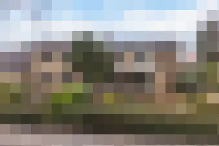 Vincent van Goghstraat 92 Leeuwarden thumbnail 50