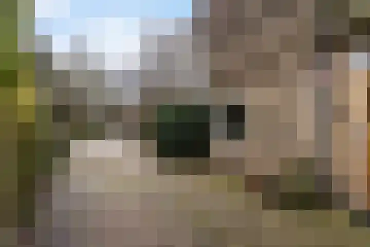 Vincent van Goghstraat 92 Leeuwarden thumbnail 8