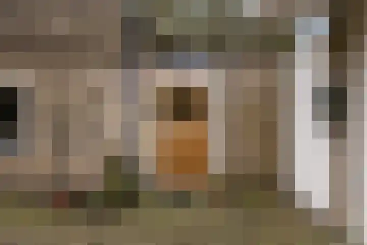 Vincent van Goghstraat 92 Leeuwarden thumbnail 9