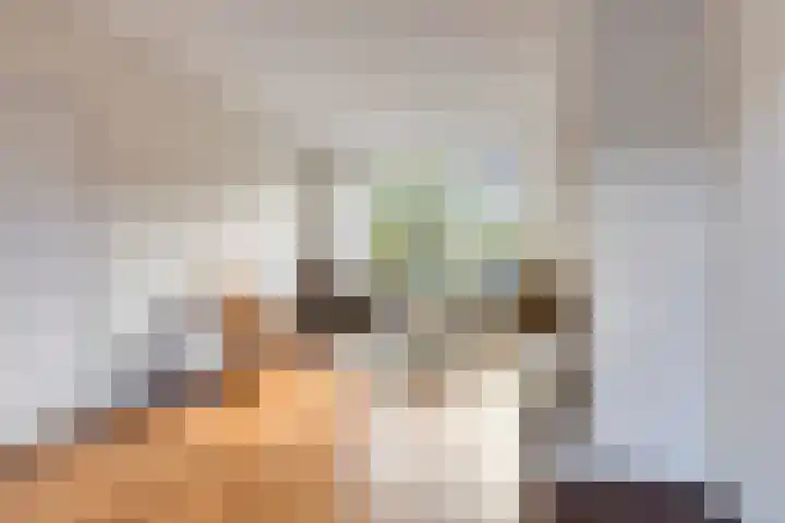 Vincent van Goghweg 31 Zaandam thumbnail 10