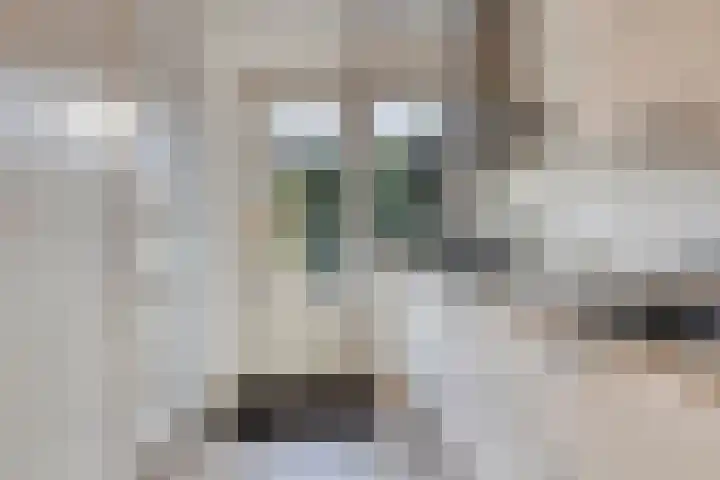 Vincent van Goghweg 31 Zaandam thumbnail 13