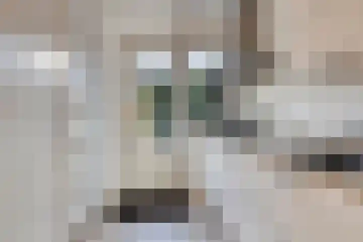 Vincent van Goghweg 31 Zaandam thumbnail 14