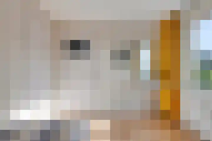 Vincent van Goghweg 31 Zaandam thumbnail 20