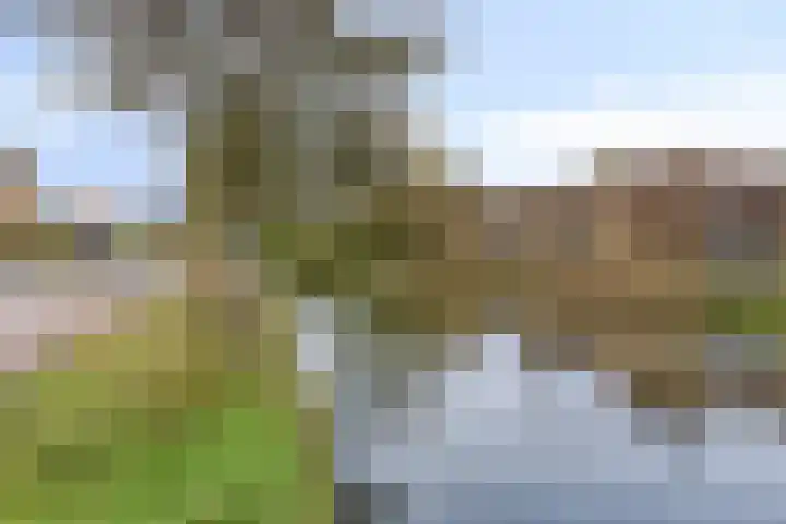 Vincent van Goghweg 31 Zaandam thumbnail 39