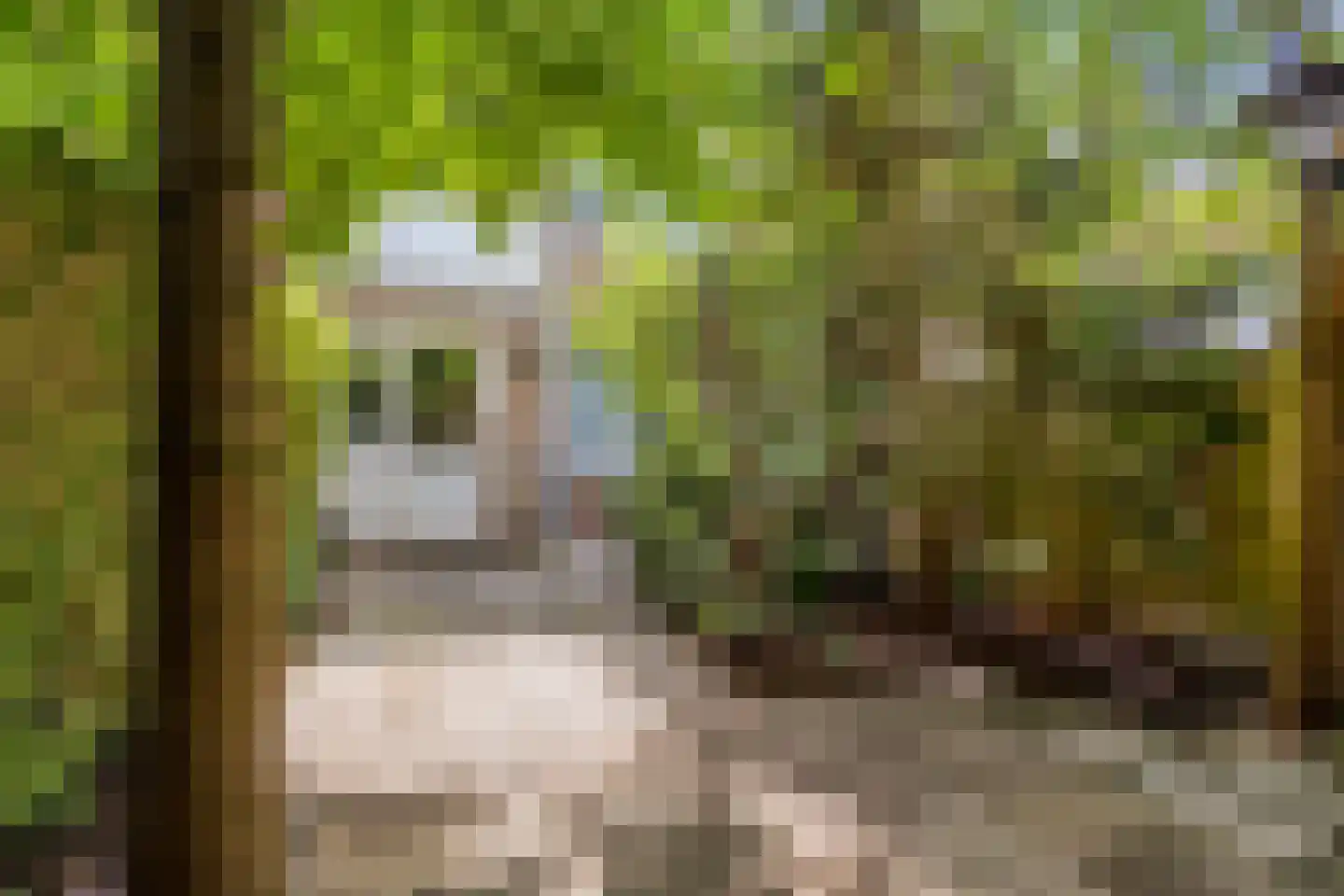 Vincent van Goghweg 35 Zaandam thumbnail 12