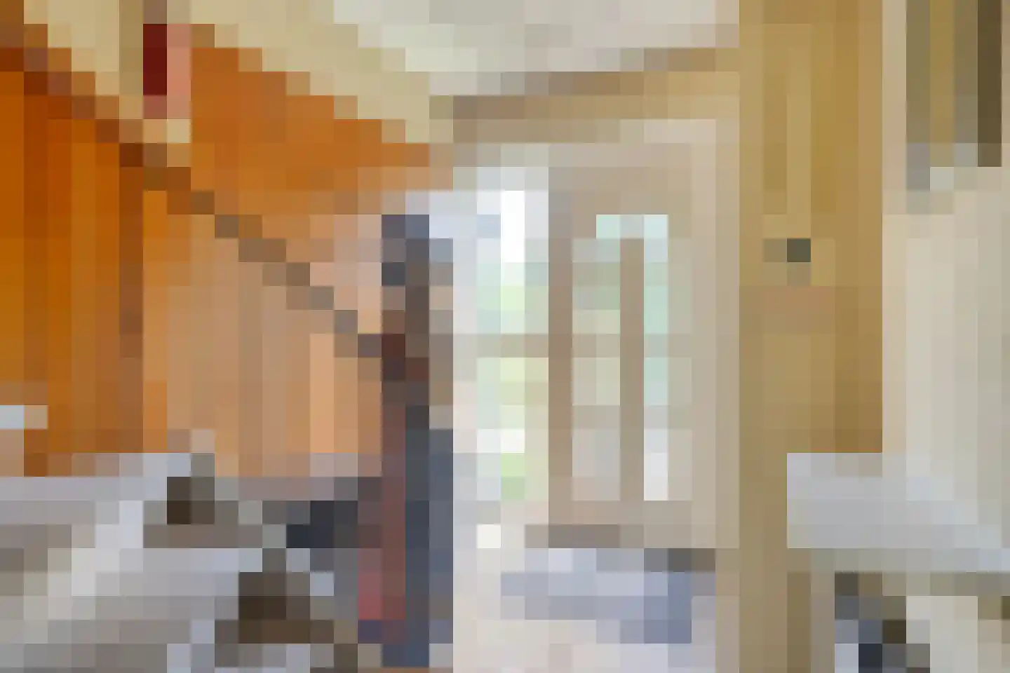 Vincent van Goghweg 35 Zaandam thumbnail 16