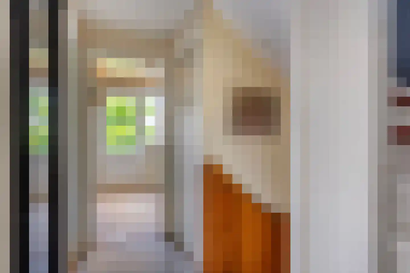 Vincent van Goghweg 35 Zaandam thumbnail 28