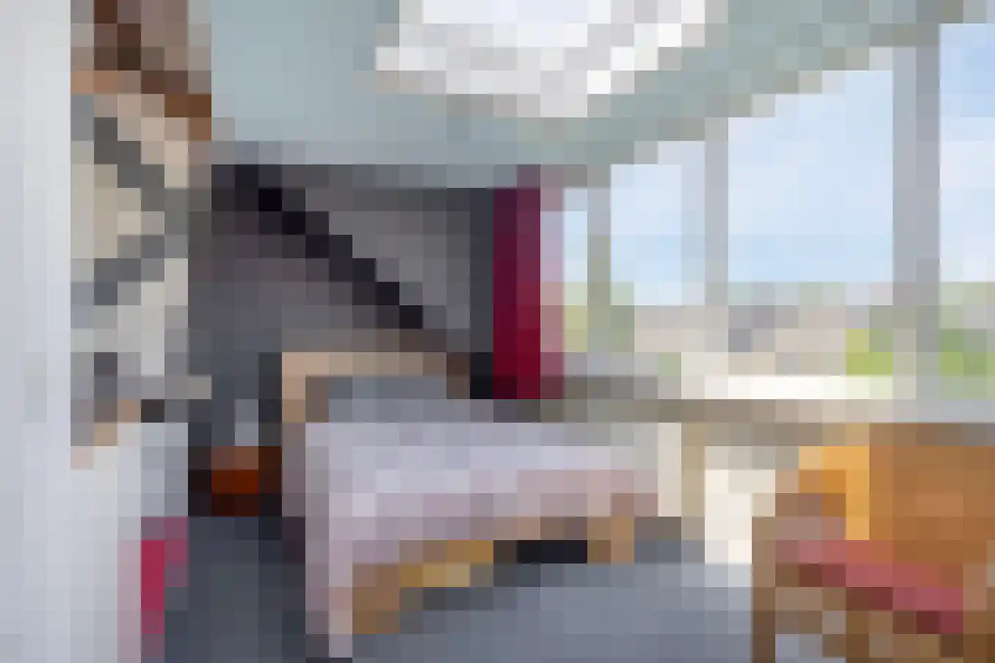 Vincent van Goghweg 35 Zaandam thumbnail 31