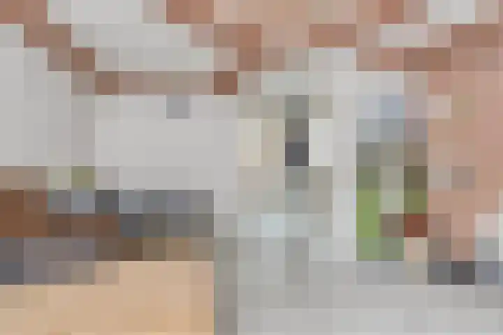 Vincent van Goghweg 69 Zaandam thumbnail 10