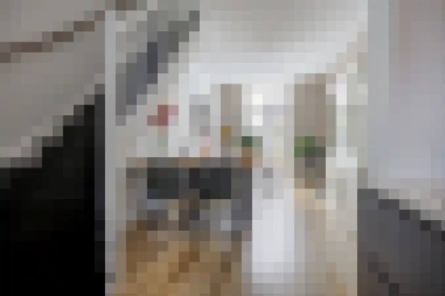 Vincentiushof 13 Etten-Leur thumbnail 14