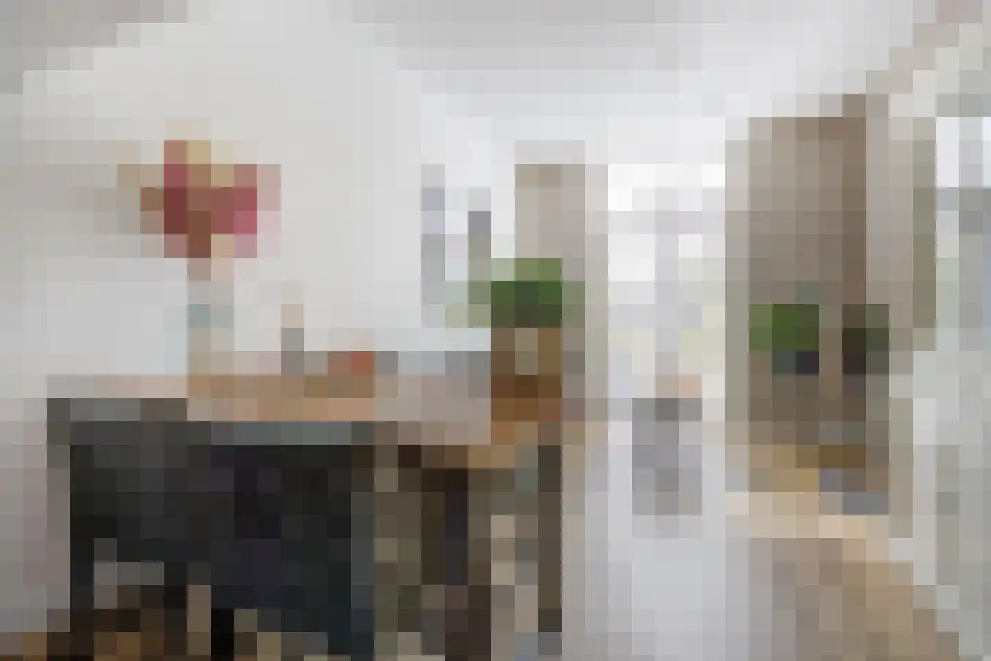 Vincentiushof 13 Etten-Leur thumbnail 15
