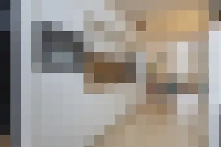 Vincentiushof 27 Etten-Leur thumbnail 11