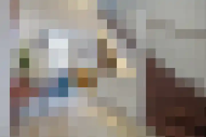 Vincentiushof 27 Etten-Leur thumbnail 12