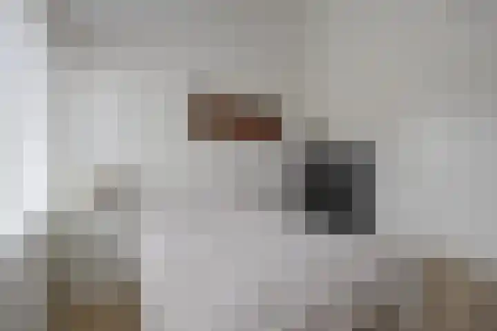 Vincentiushof 27 Etten-Leur thumbnail 24