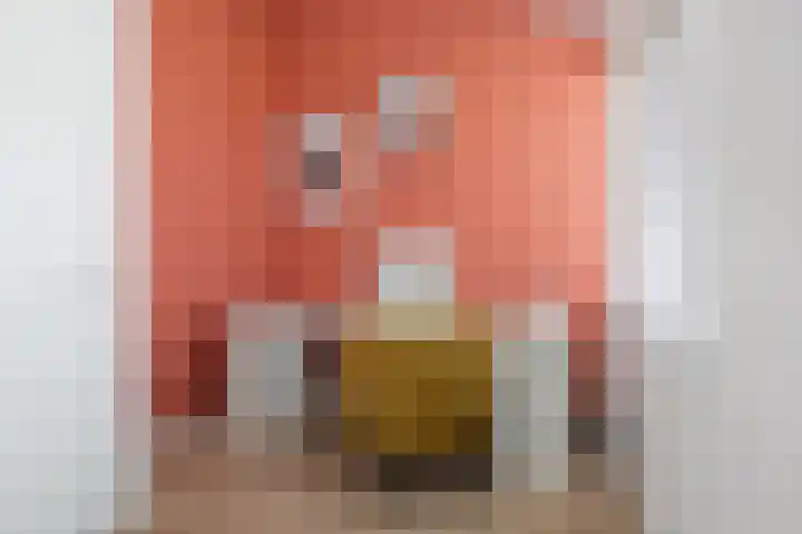 Vincentiushof 29 Etten-Leur thumbnail 26