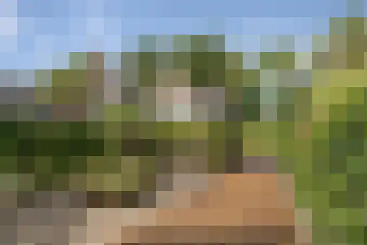Vincentiushof 29 Etten-Leur thumbnail 30