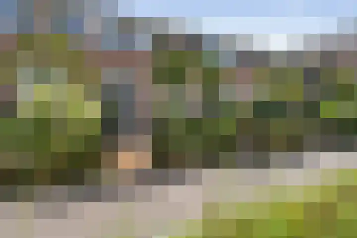 Vincentiushof 29 Etten-Leur thumbnail 33