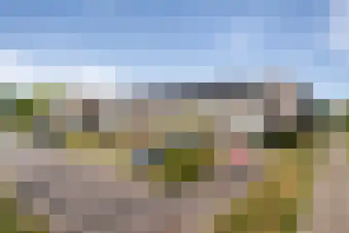 Vincentiushof 29 Etten-Leur thumbnail 37
