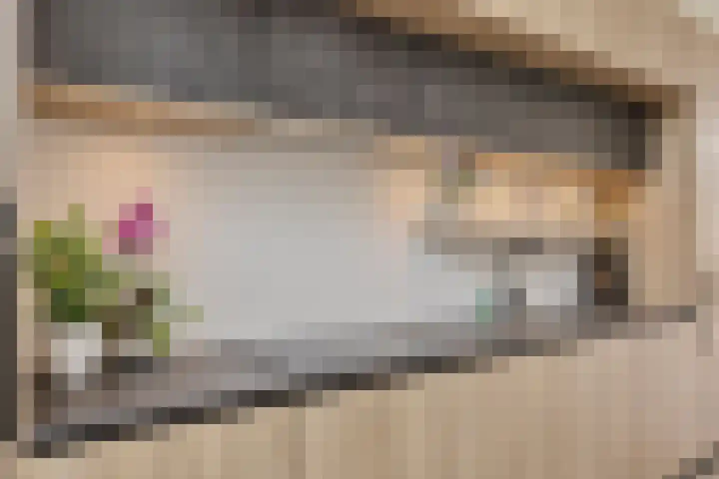 Vincentiushof 31 Etten-Leur thumbnail 11