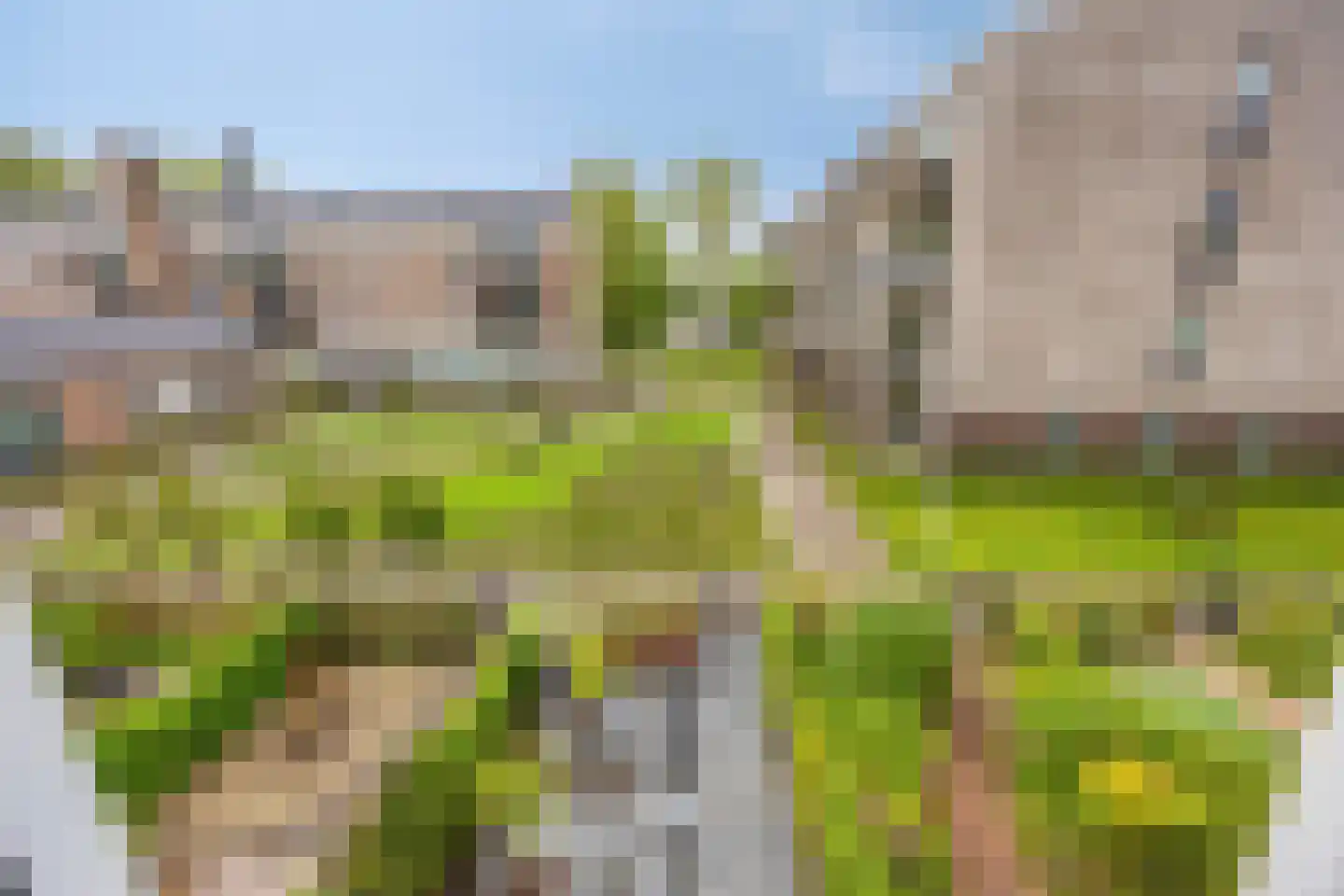 Vincentiushof 31 Etten-Leur thumbnail 26
