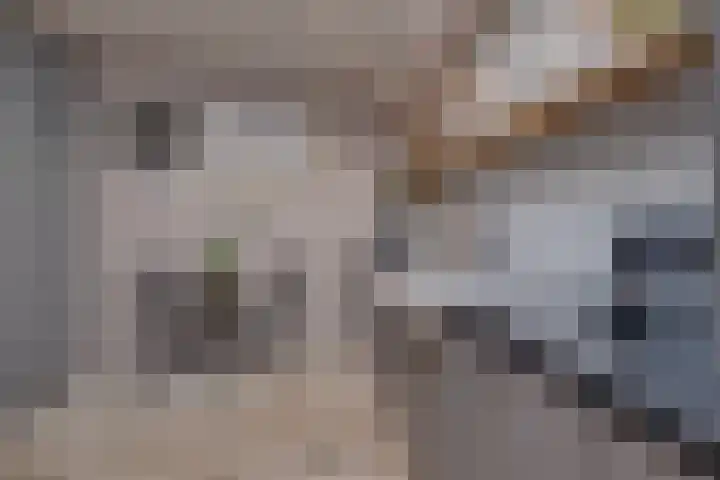 Vincentiuslaan 15 Susteren thumbnail 15