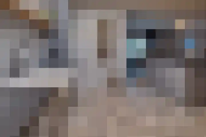 Vincentiuslaan 15 Susteren thumbnail 17