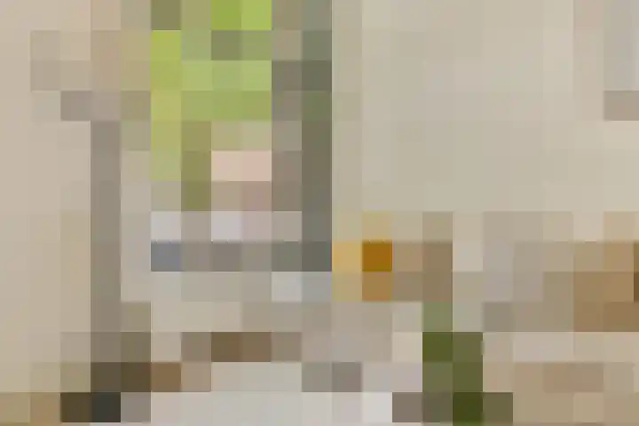 Vincentiuslaan 15 Susteren thumbnail 22