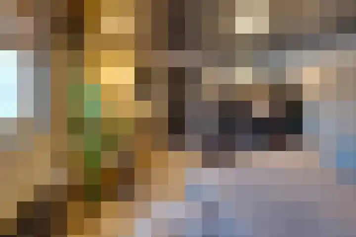 Vincentiuslaan 15 Susteren thumbnail 24