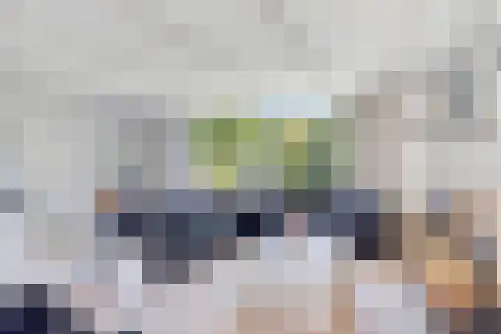 Vincentiuslaan 15 Susteren thumbnail 36