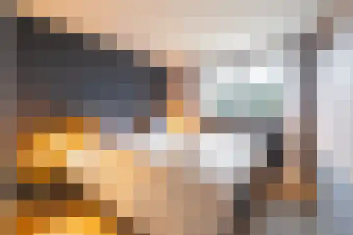 Vincentiuslaan 15 Susteren thumbnail 43