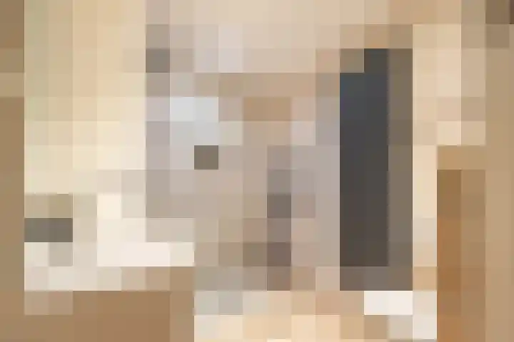 Vincentiuslaan 15 Susteren thumbnail 44