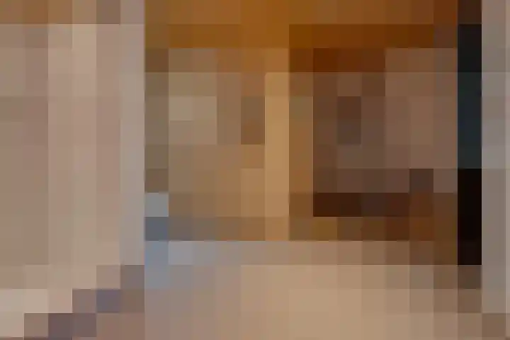 Vincentiuslaan 15 Susteren thumbnail 47