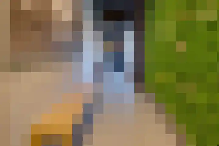 Vincentiuslaan 15 Susteren thumbnail 49