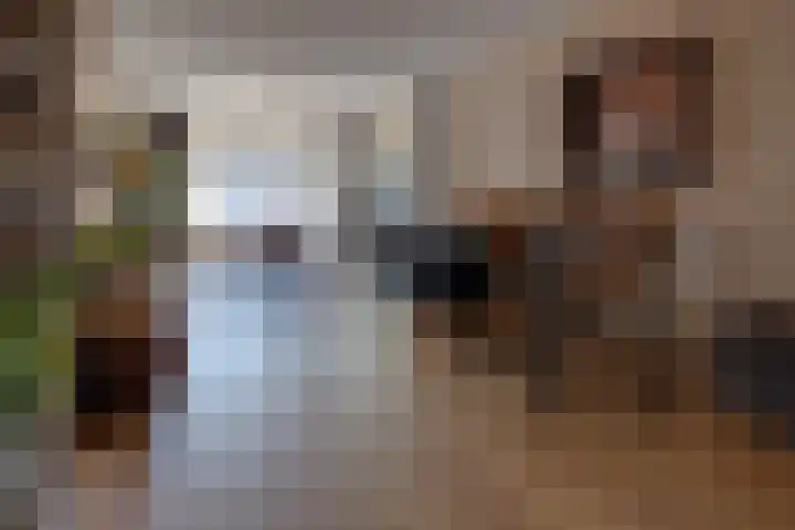 Vincentiuslaan 15 Susteren thumbnail 8