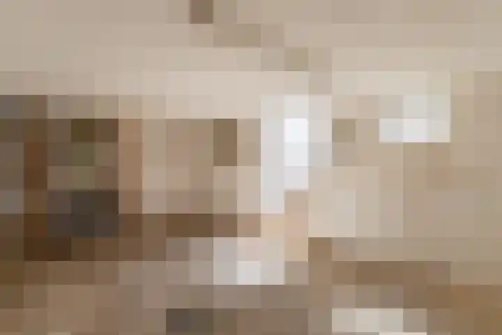 Vincentiuslaan 41 Susteren thumbnail 16