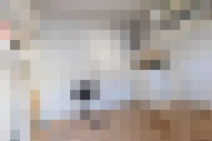 Vincentiuslaan 41 Susteren thumbnail 19