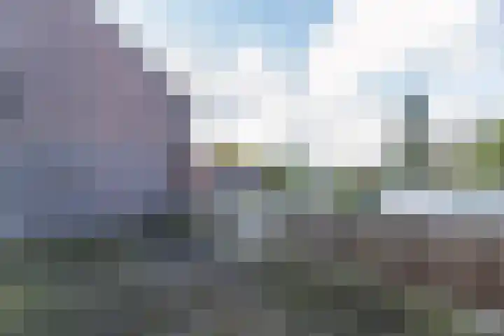 Vincentiuslaan 41 Susteren thumbnail 30