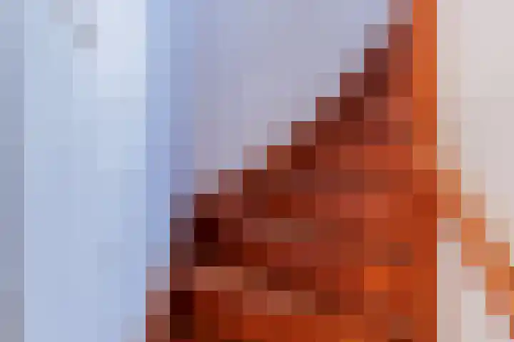 Vincentiuslaan 41 Susteren thumbnail 40