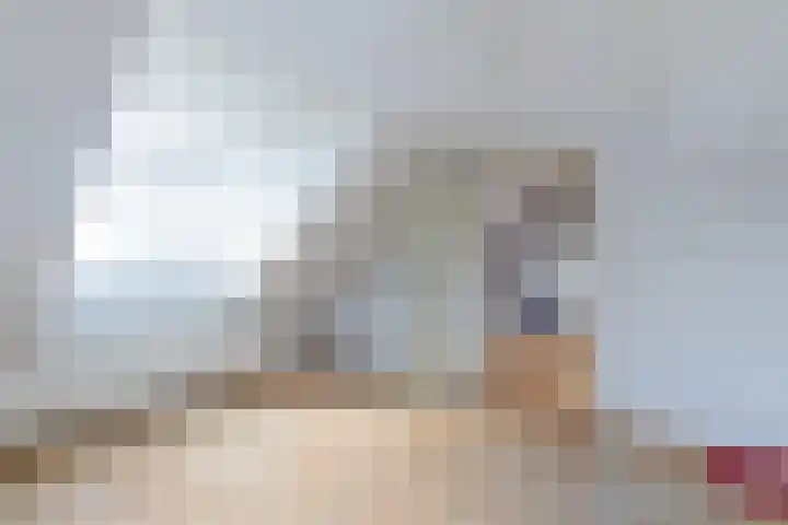 Vincentiuslaan 41 Susteren thumbnail 42