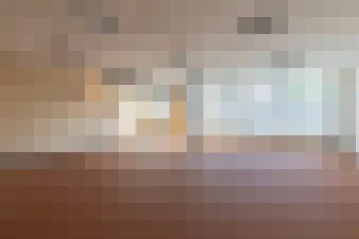 Vincentiuslaan 41 Susteren thumbnail 7
