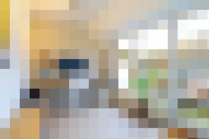 Vincentiuspad 1 01 Tilburg thumbnail 18