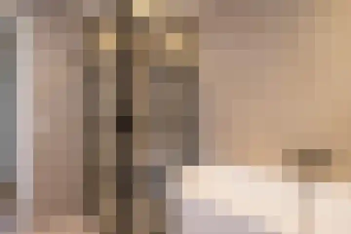 Vincentiuspad 1 01 Tilburg thumbnail 26